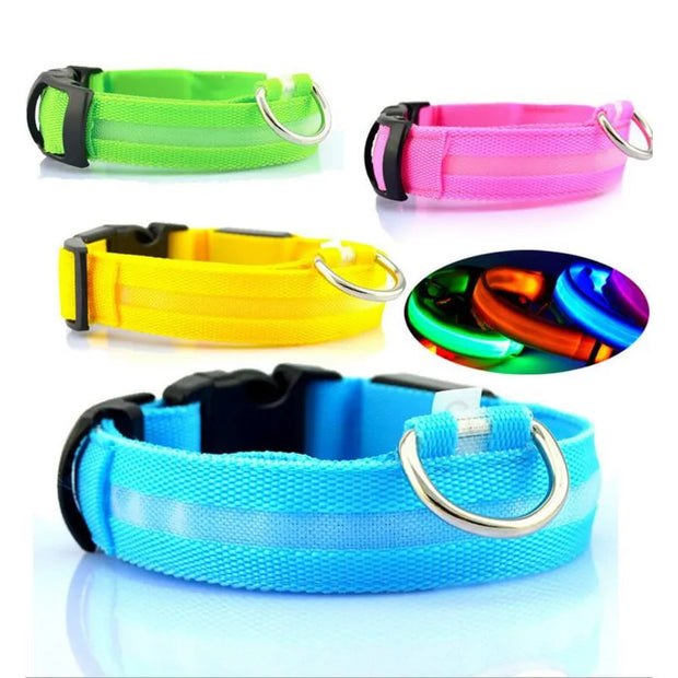 LED Pet Dog Collar for Night Safety, Nylon Leash with Glow-in-the-Dark Feature